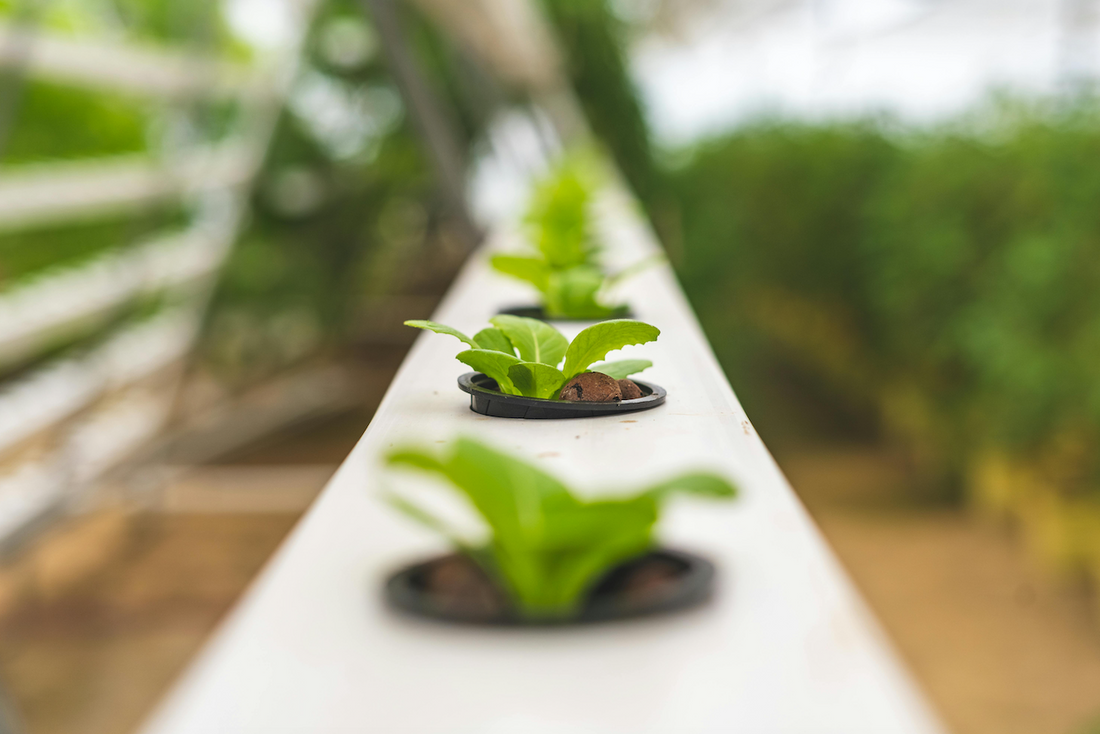 Por Qué Usar Materiales Sostenibles en el Día a Día