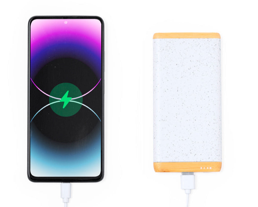 Bamboo and wheat cane power bank
