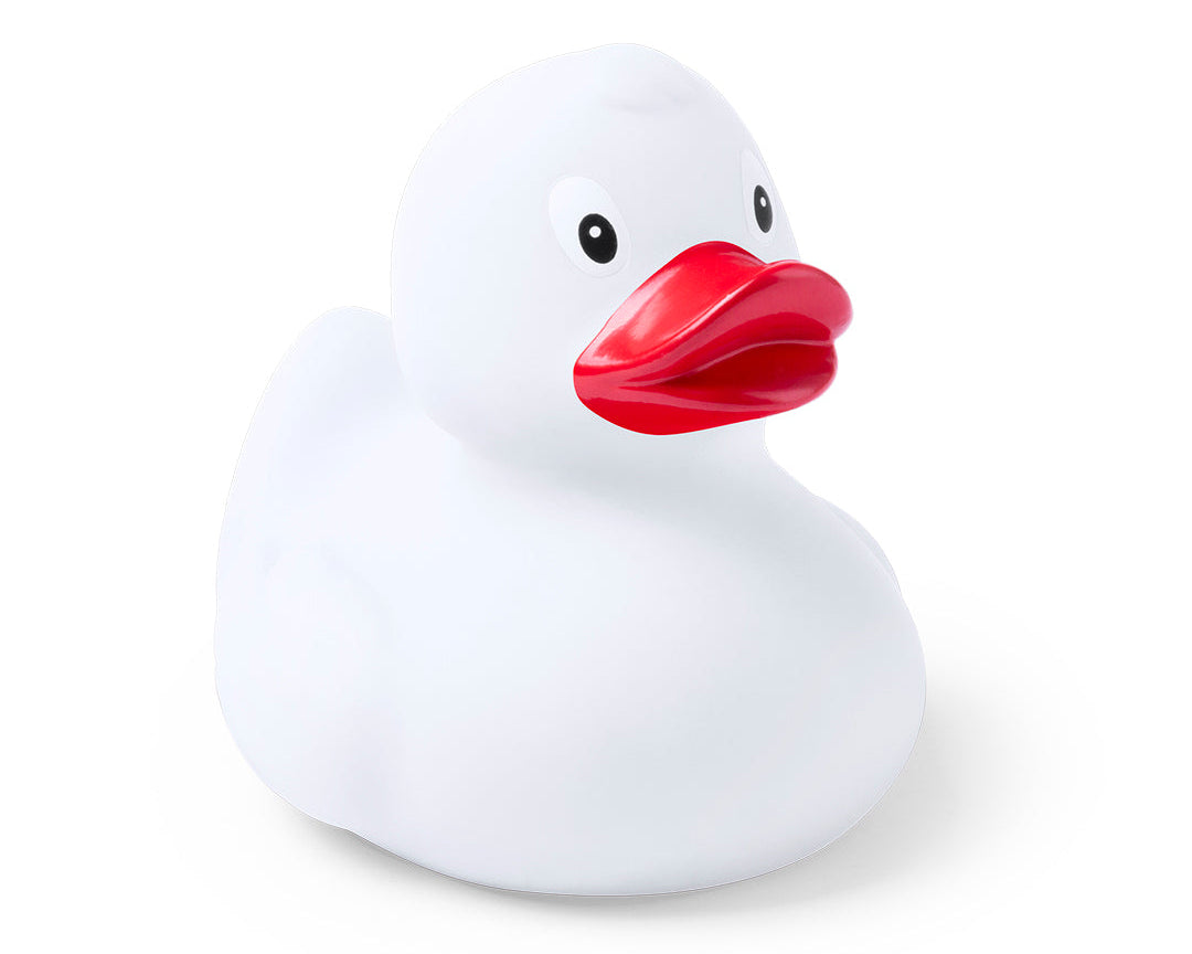 Canard