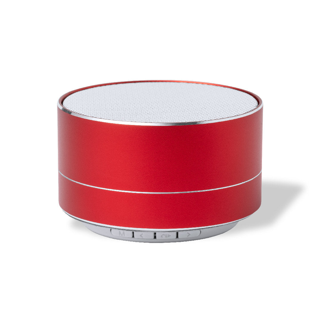 ReSound speaker