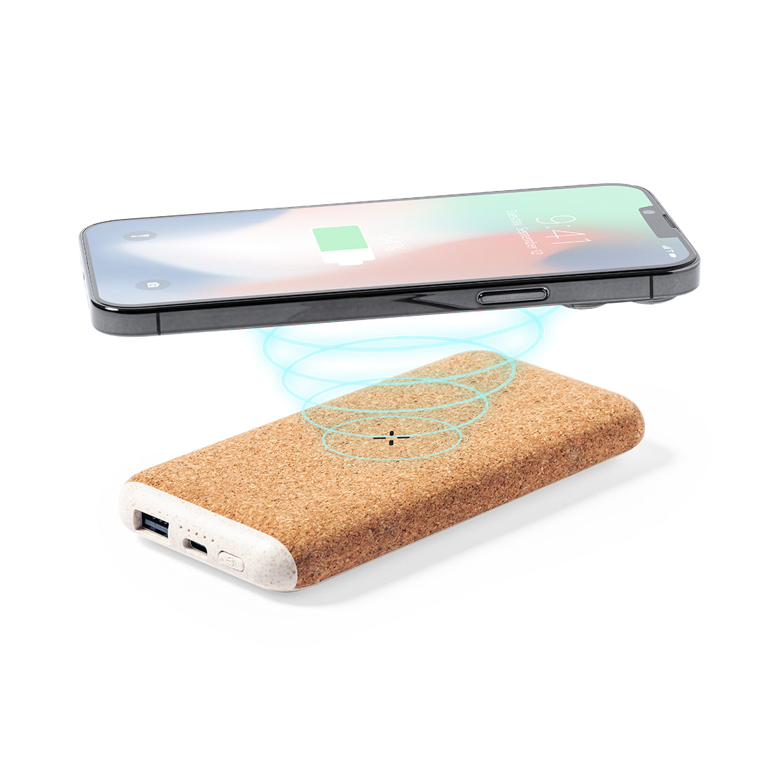 Power Bank Qipower