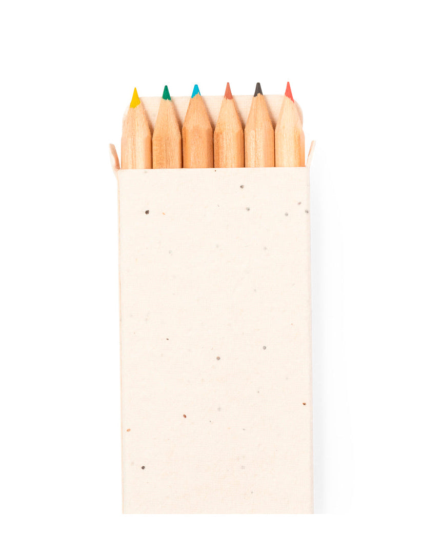 Caja de colores de semillas