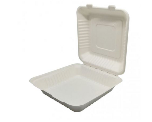 Sugarcane fiber containers Menu holders 232 x 232 mm (250 units)