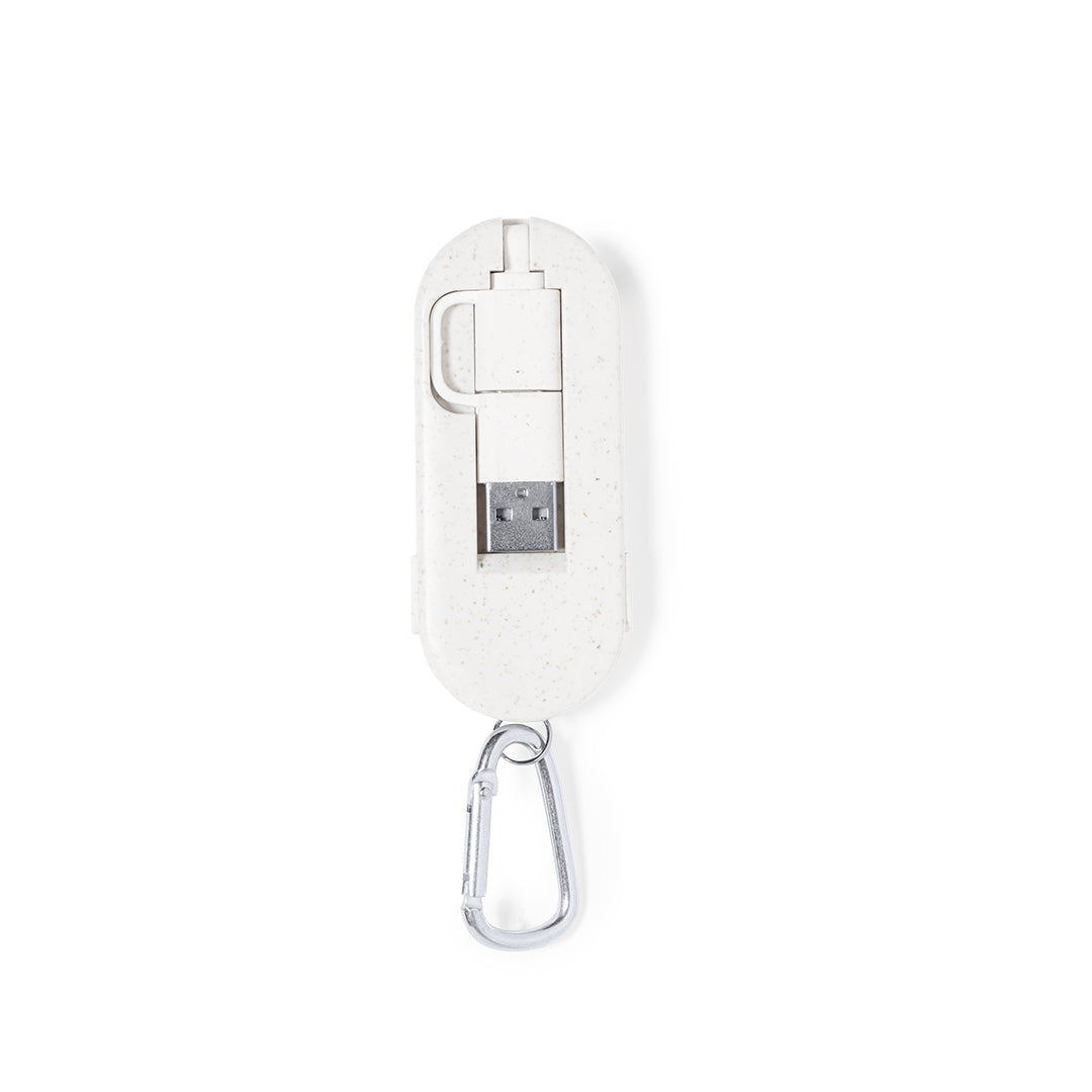 Ecolink Charger