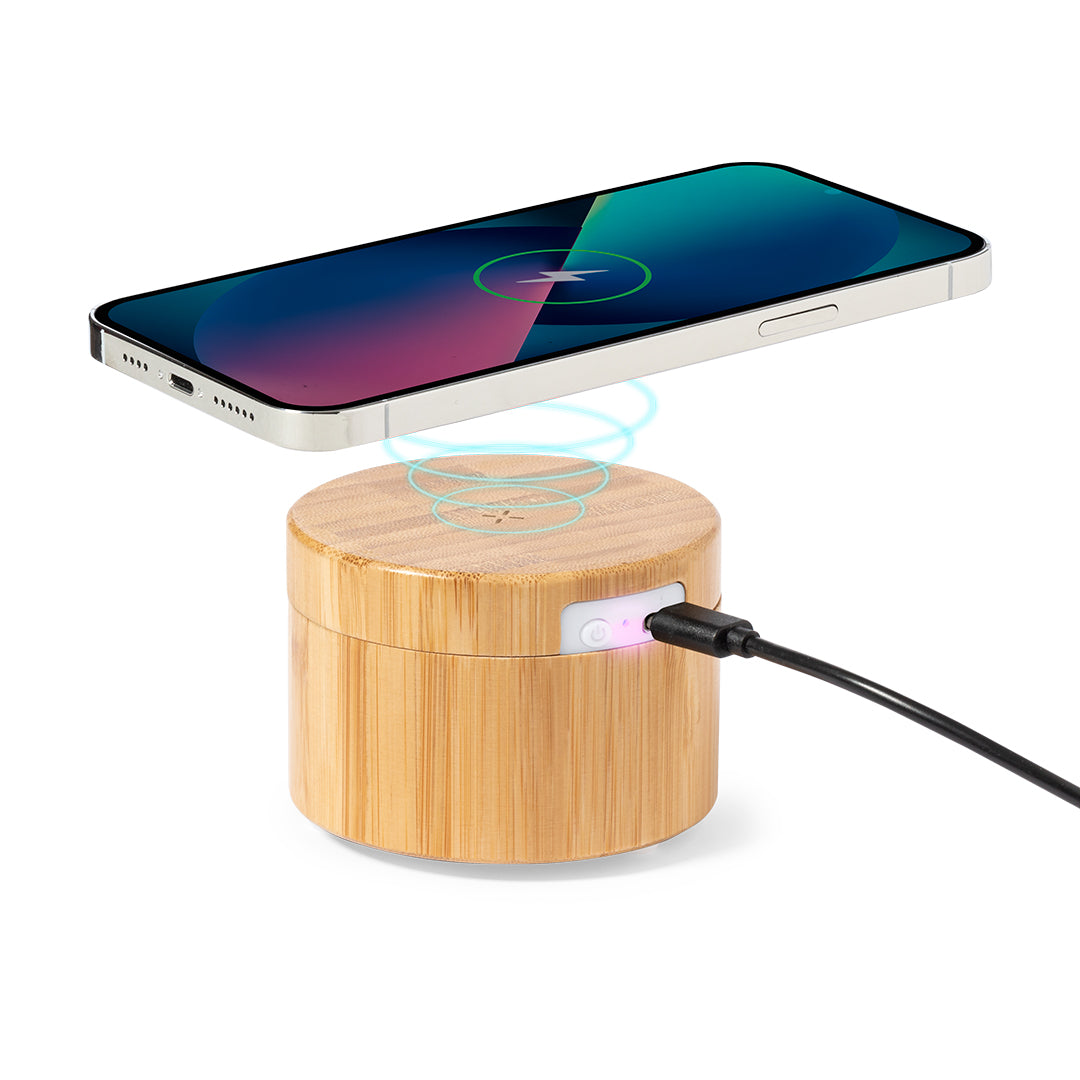 Charger lamp