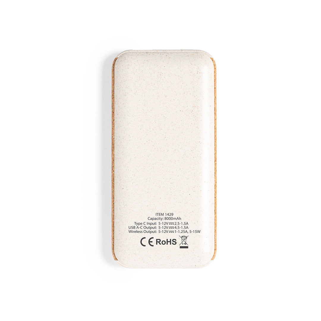 Qipower Power Bank