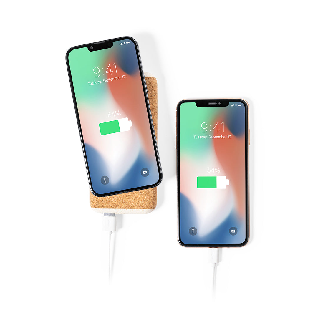Qipower Power Bank