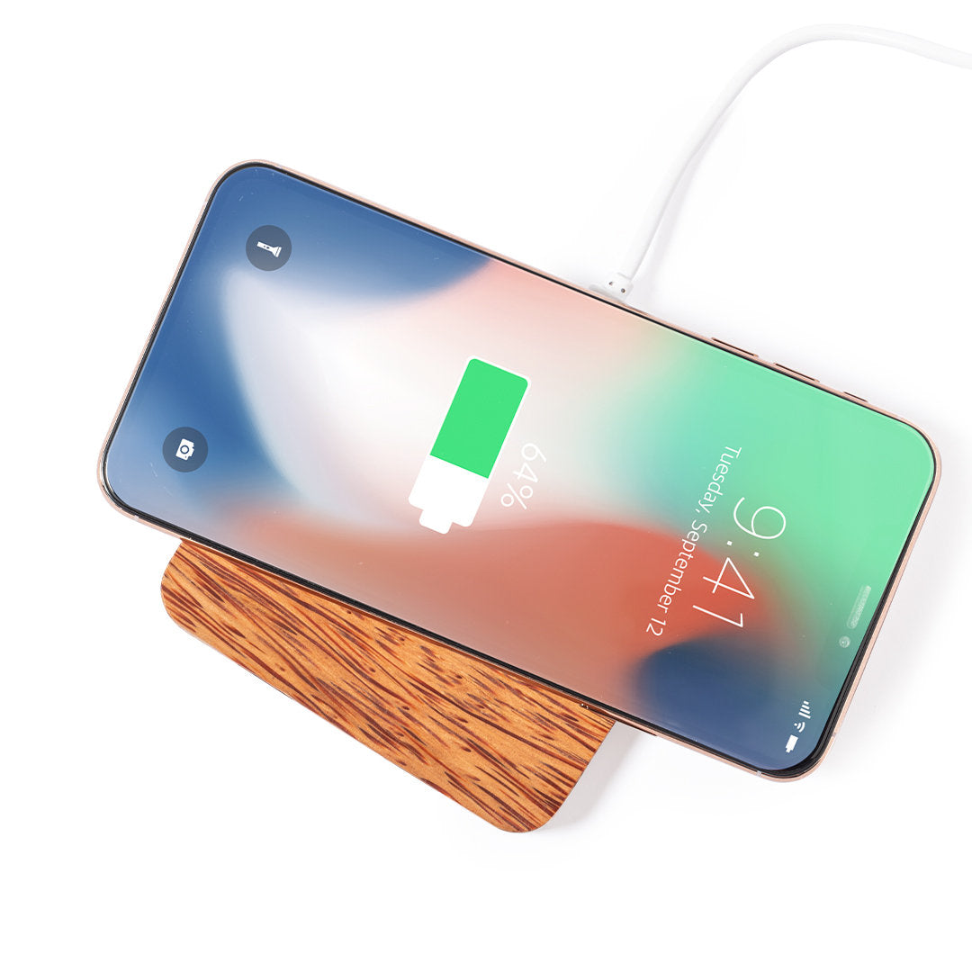 Power Bank eco de coco natural